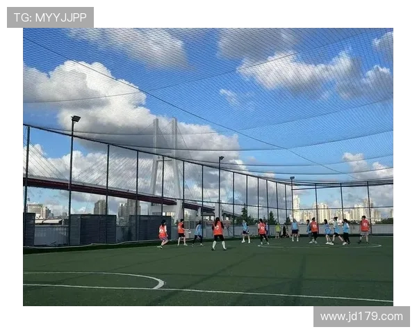 西安飞盘队的进攻革新探索与实践全景分析